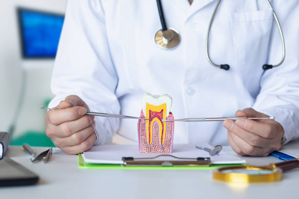 Best Emergency Tooth Extraction in South Miami, FL